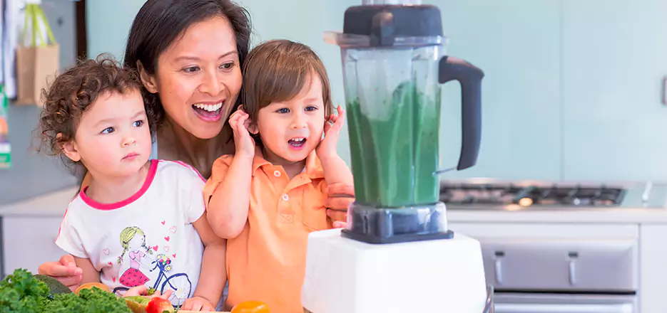 Juicer and Mixer Blender Repair in Clifton
