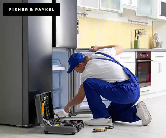 Top-Rated Fisher & Paykel Appliance Experts: Your Brand Specialist in Clifton, NJ